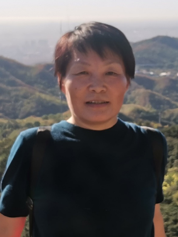 Prof. Hui Shang